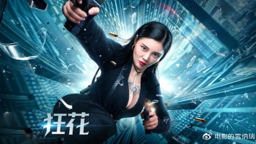 纽约州驾照真实样板